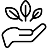 Botanical Ingredients